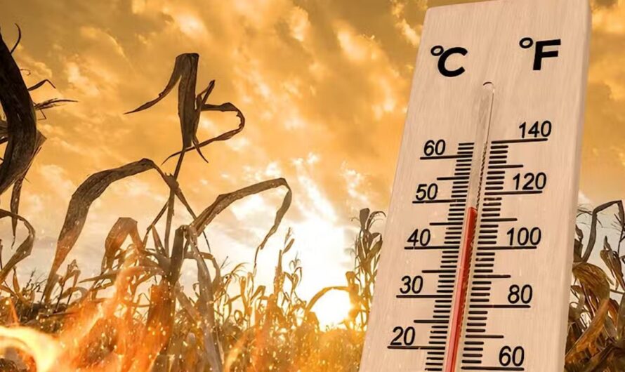 Pakistani City Hits 50°C to Become Hottest Place in the World