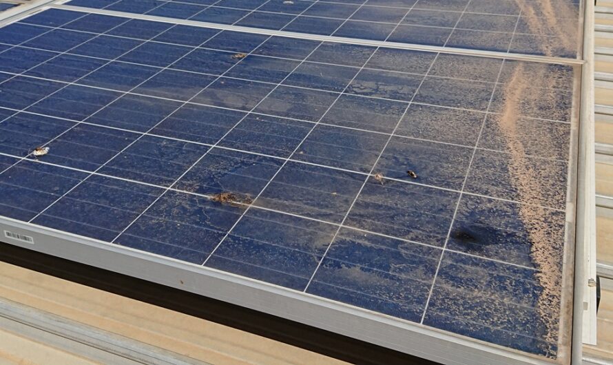 Solar Panel Cleaning: Why, When, and How to Do It Right