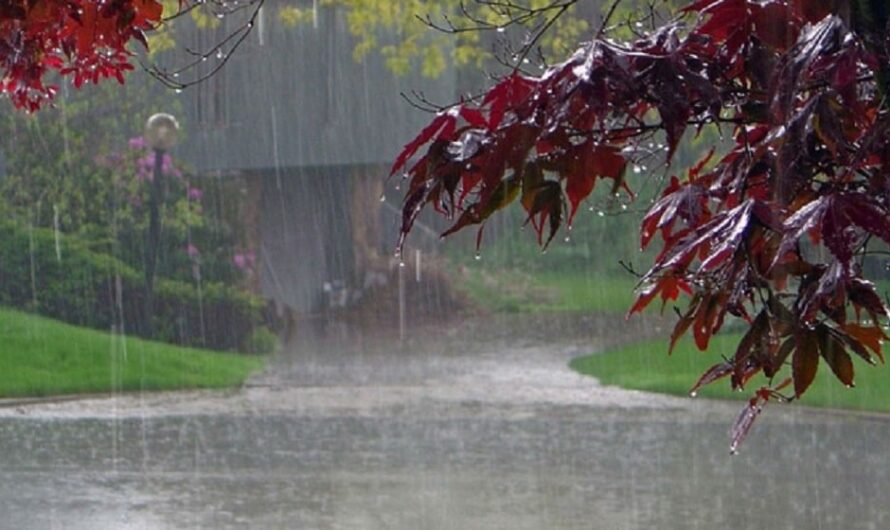 When the Skies Open: How Monsoon Rains Shape Life in Pakistan