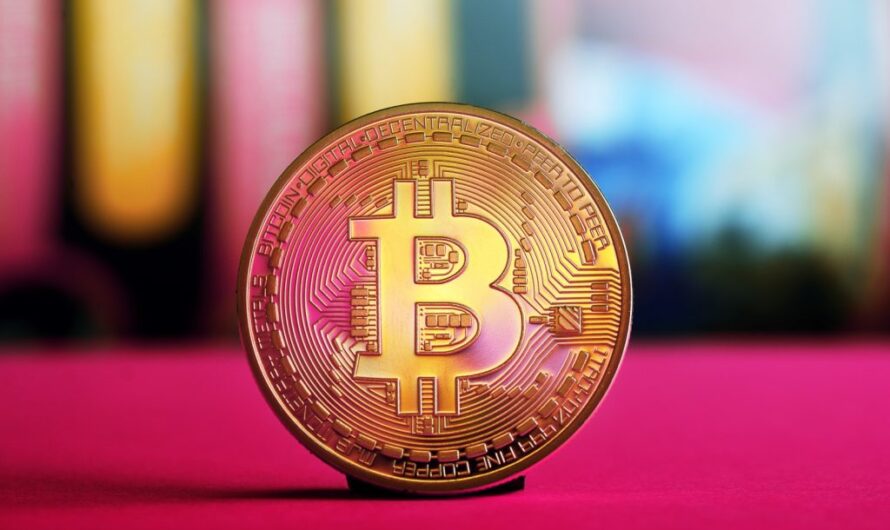 Bitcoin vs Altcoins: Which One Holds the Future?