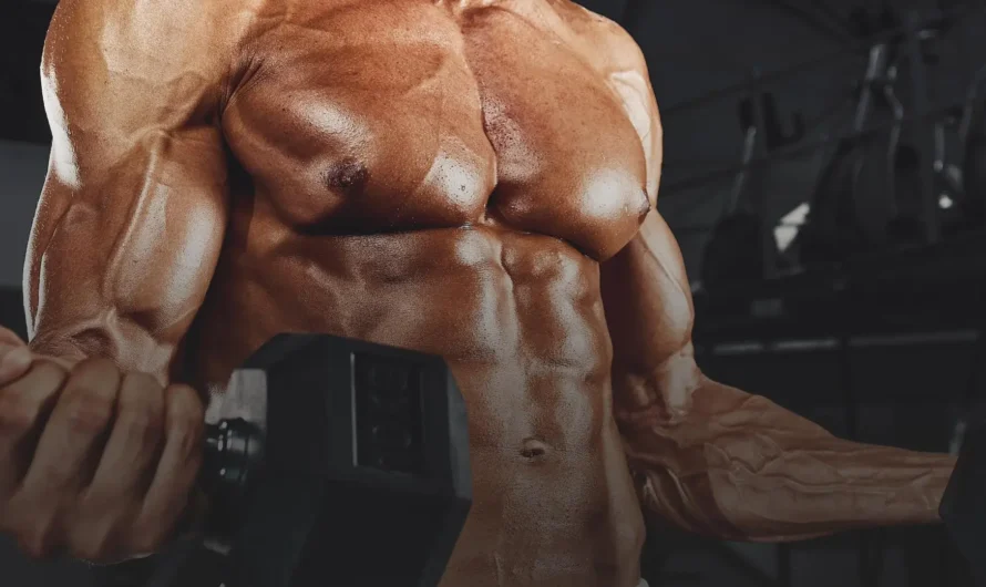 Mass Gainer Shakes vs Natural Food – What’s Better for Weight Gain?